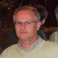 Flávio Costa Piccinini
